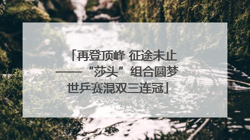再登顶峰 征途未止——“莎头”组合圆梦世乒赛混双三连冠
