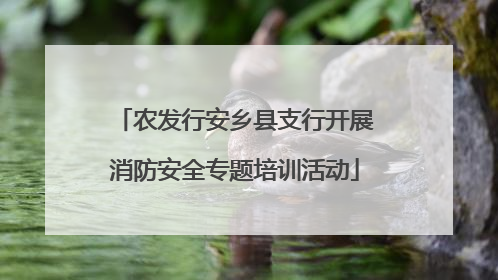 农发行安乡县支行开展消防安全专题培训活动