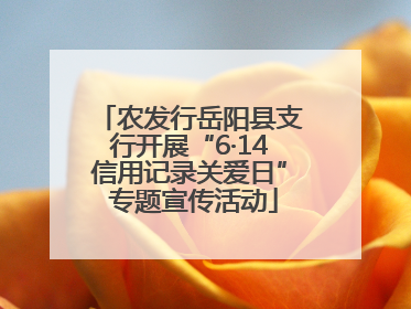 农发行岳阳县支行开展“6·14信用记录关爱日” 专题宣传活动