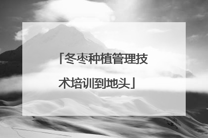 冬枣种植管理技术培训到地头