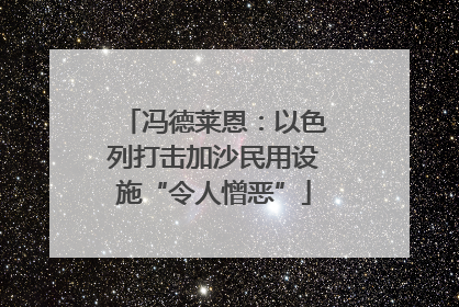 冯德莱恩：以色列打击加沙民用设施“令人憎恶”