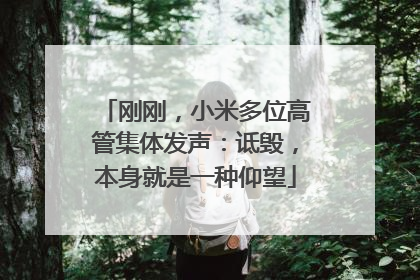 刚刚，小米多位高管集体发声：诋毁，本身就是一种仰望