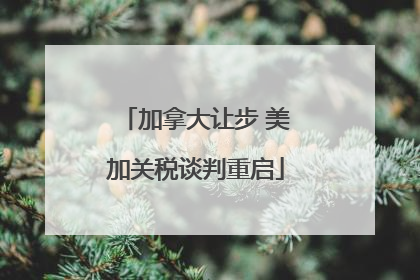 加拿大让步 美加关税谈判重启