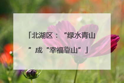北湖区：“绿水青山”成“幸福靠山”