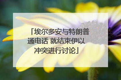 埃尔多安与特朗普通电话 就结束伊以冲突进行讨论