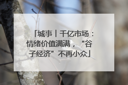 城事︱千亿市场：情绪价值满满，“谷子经济”不再小众
