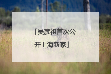 吴彦祖首次公开上海新家