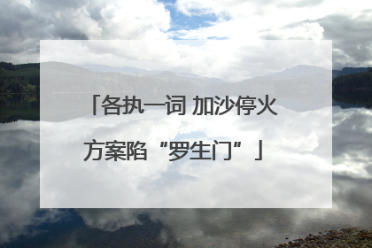 各执一词 加沙停火方案陷“罗生门”
