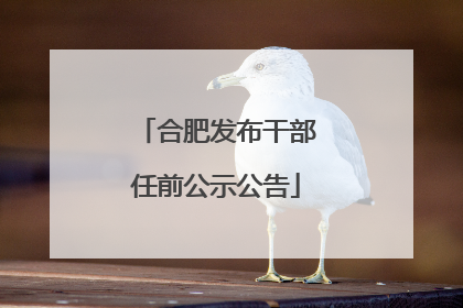 合肥发布干部任前公示公告