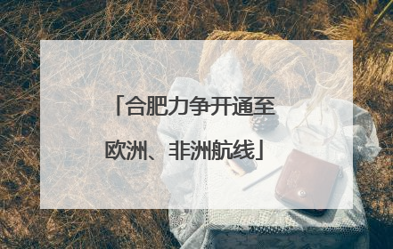 合肥力争开通至欧洲、非洲航线