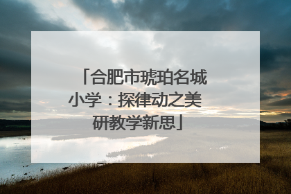 合肥市琥珀名城小学：探律动之美 研教学新思