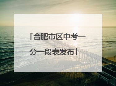 合肥市区中考一分一段表发布
