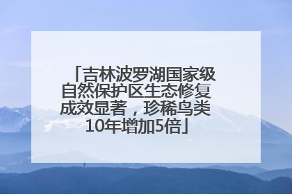 吉林波罗湖国家级自然保护区生态修复成效显著，珍稀鸟类10年增加5倍