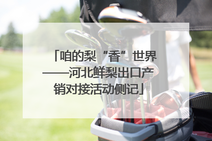 咱的梨“香”世界——河北鲜梨出口产销对接活动侧记