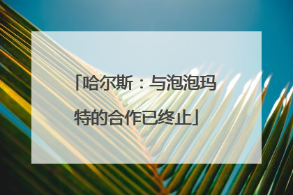 哈尔斯：与泡泡玛特的合作已终止