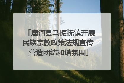 唐河县马振抚镇开展民族宗教政策法规宣传 营造团结和谐氛围