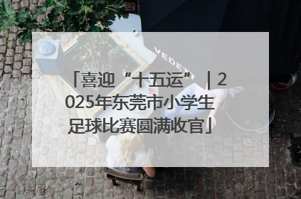 喜迎“十五运”｜2025年东莞市小学生足球比赛圆满收官