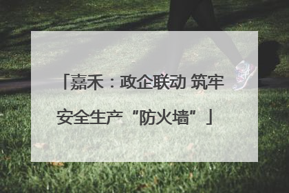 嘉禾：政企联动 筑牢安全生产“防火墙”