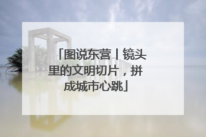 图说东营丨镜头里的文明切片，拼成城市心跳