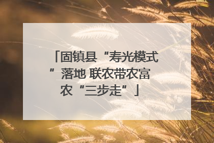 固镇县“寿光模式”落地 联农带农富农“三步走”