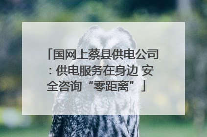国网上蔡县供电公司：供电服务在身边 安全咨询“零距离”