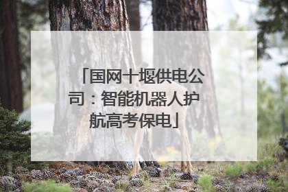 国网十堰供电公司：智能机器人护航高考保电