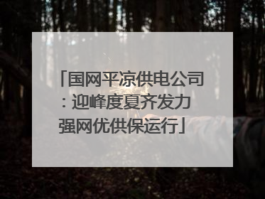 国网平凉供电公司：迎峰度夏齐发力 强网优供保运行