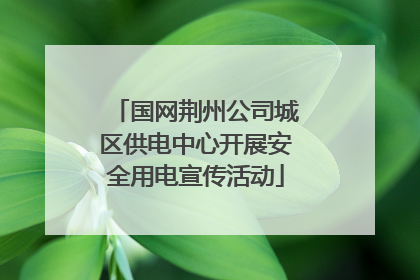 国网荆州公司城区供电中心开展安全用电宣传活动