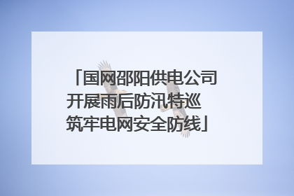 国网邵阳供电公司开展雨后防汛特巡 筑牢电网安全防线