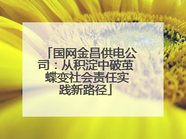 国网金昌供电公司：从积淀中破茧 蝶变社会责任实践新路径