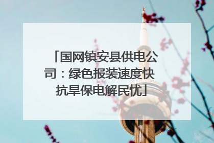 国网镇安县供电公司：绿色报装速度快 抗旱保电解民忧