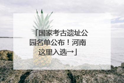 国家考古遗址公园名单公布！河南这里入选→