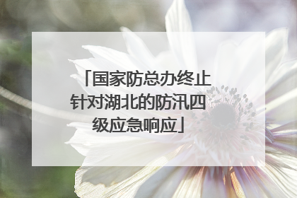 国家防总办终止针对湖北的防汛四级应急响应