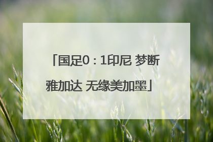 国足0∶1印尼 梦断雅加达 无缘美加墨
