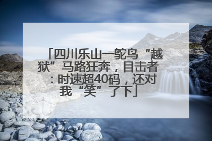 四川乐山一鸵鸟“越狱”马路狂奔，目击者：时速超40码，还对我“笑”了下