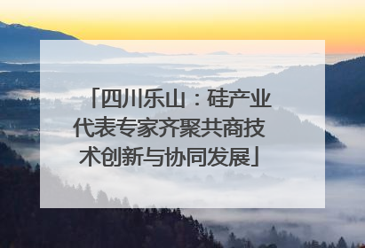 四川乐山：硅产业代表专家齐聚共商技术创新与协同发展
