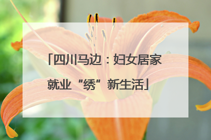 四川马边：妇女居家就业“绣”新生活
