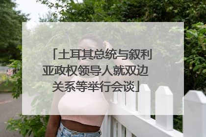 土耳其总统与叙利亚政权领导人就双边关系等举行会谈