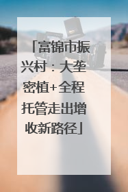 富锦市振兴村：大垄密植+全程托管走出增收新路径