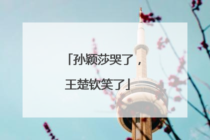 孙颖莎哭了，王楚钦笑了