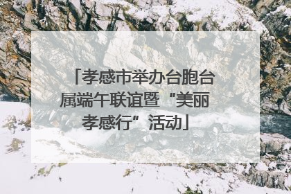 孝感市举办台胞台属端午联谊暨“美丽孝感行”活动