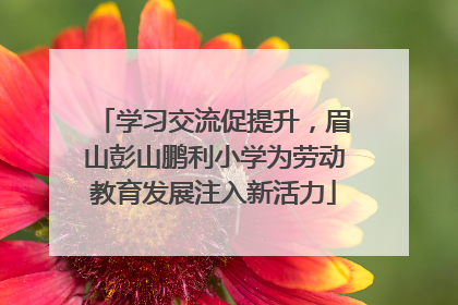 学习交流促提升，眉山彭山鹏利小学为劳动教育发展注入新活力