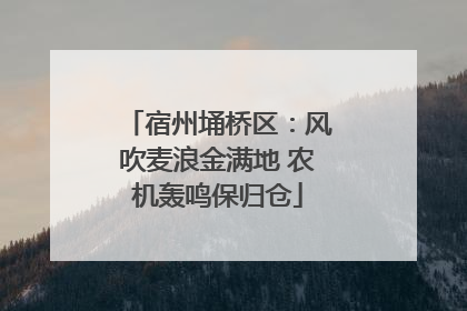 宿州埇桥区：风吹麦浪金满地 农机轰鸣保归仓