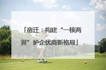 宿迁：构建“一核两翼”护企优商新格局