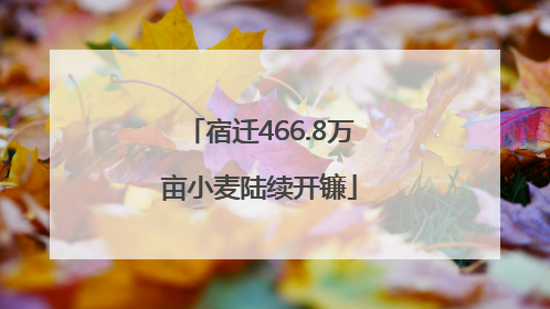 宿迁466.8万亩小麦陆续开镰