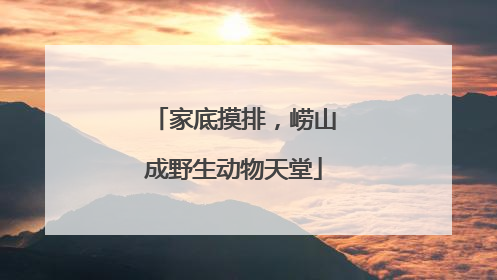 家底摸排，崂山成野生动物天堂