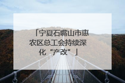 宁夏石嘴山市惠农区总工会持续深化“产改”