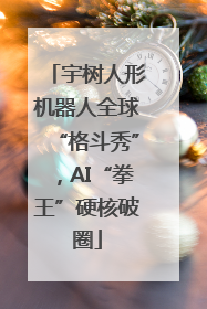 宇树人形机器人全球“格斗秀”，AI“拳王”硬核破圈
