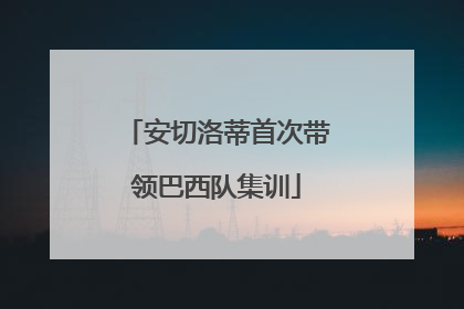 安切洛蒂首次带领巴西队集训