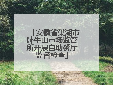 安徽省巢湖市卧牛山市场监管所开展自助餐厅监督检查